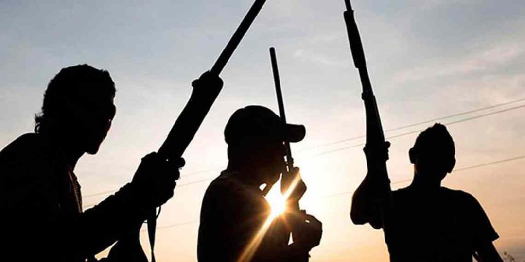 15 Killed in Katsina as Reprisal Attack Shatters Fragile Peace