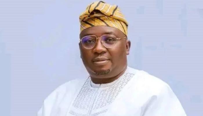 Minister Of Power Apologises to Nigerians Over Widespread Blackout