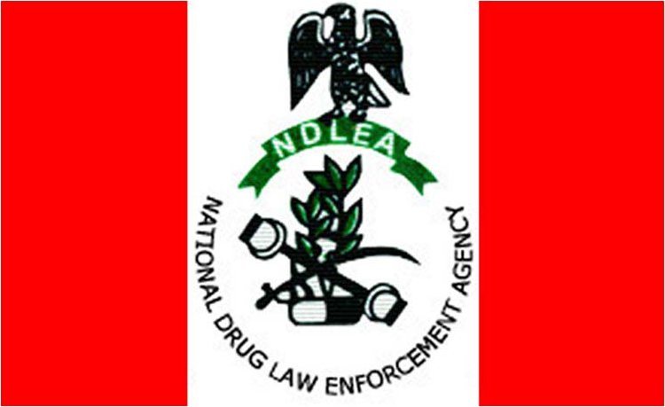 NDLEA Intercepts Cocaine Hidden in Food Flasks at Lagos Airport