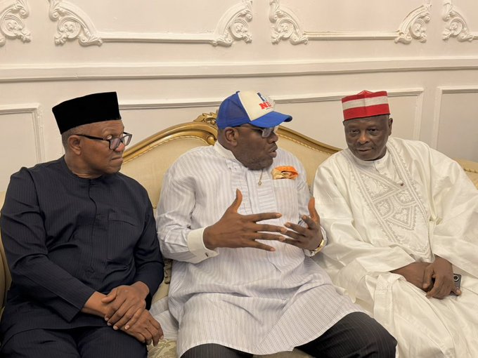 Obi, Kwankwaso Officially Join NDC, Receive Membership Cards in Major Political Shift