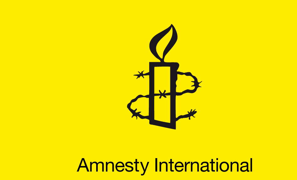Amnesty International Condemns Deadly Kano Attack, Probes Alleged Political Links