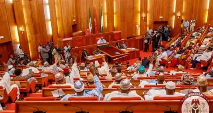 Senate, Yoruba Leaders Demand Urgent Rescue After Distress Videos From Oyo School Attack Surface