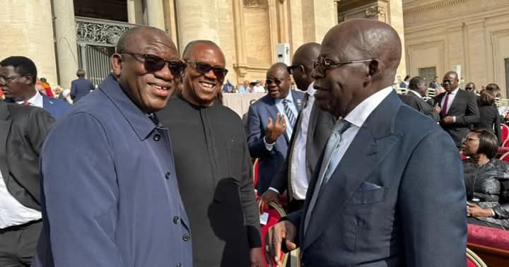 Fayemi Reveals How He Convinced Peter Obi to Greet Tinubu at Vatican Event