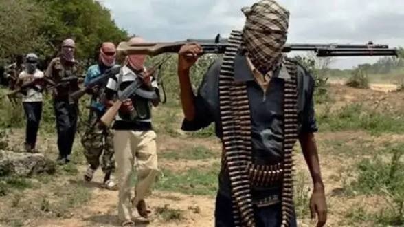 Gunmen Attack Sokoto Farmlands, Kill Four and Kidnap 12 Farmers