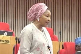 Kingibe Says She Never Saw Report That Led to Natasha’s Suspension