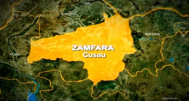 Police, Military Recover 329 Rustled Cattle, 175 Sheep and AK-47 Rifle in Zamfara Operation