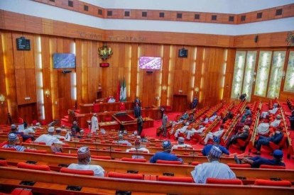 Senate Approves State Police Bill, Gives Governors Power to Appoint Police Commissioners