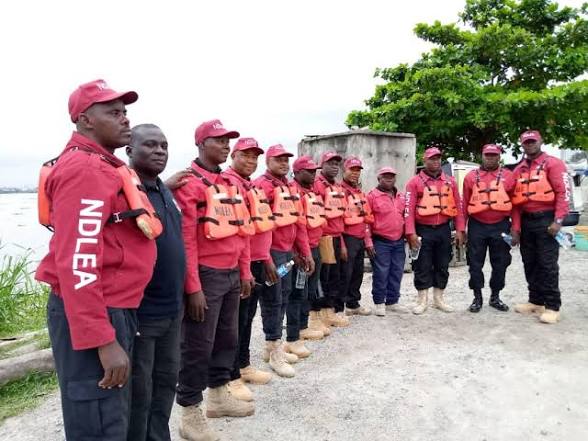NDLEA Busts Industrial-Scale Meth Lab in Oyo Forest, Arrests Mexican and Four Nigerians