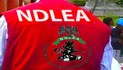 NDLEA Destroys Over 12 Tonnes of Illicit Drugs in Kano