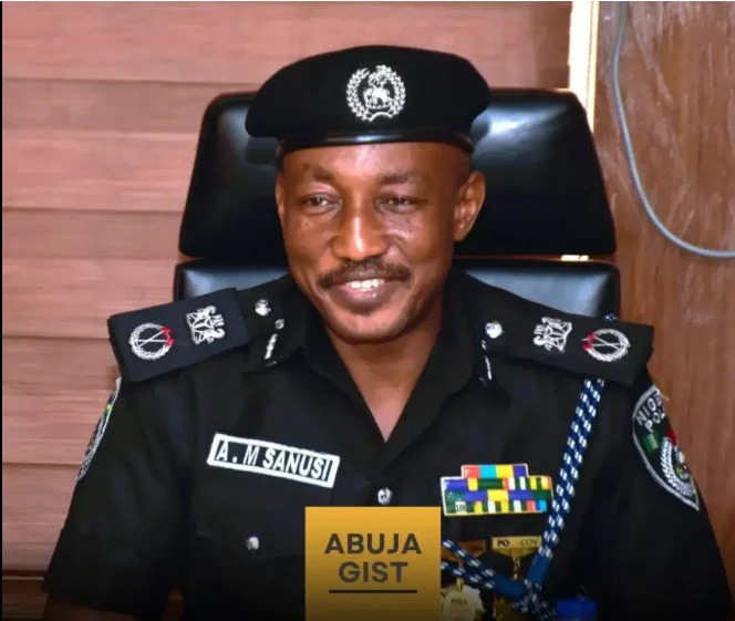 Police Raid Abuja Crime Hotspots, Arrest 560 Suspects
