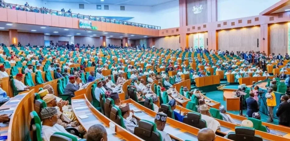 Rowdy Session Erupts in House of Reps Over Move to Summon Tinubu