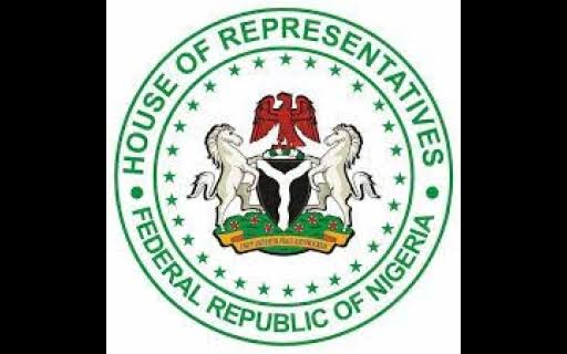 House of Representatives Withdraws State Police Bill, Backs Tinubu’s Executive Proposal