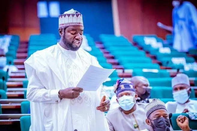 Reps Give IGP 48 Hours to Produce Alleged Fake Agency DG